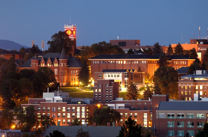 washington state university